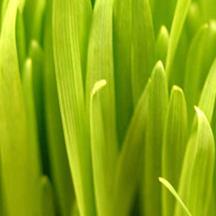 ddos攻击防御手段