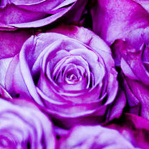 云端备份安全的免费ddos在线攻击测试网站